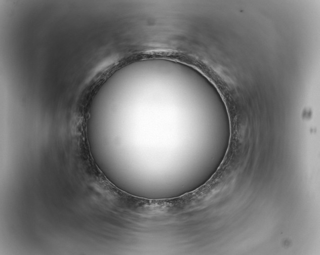 X0000103931351200809191340