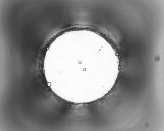 X0000103931352200809191340