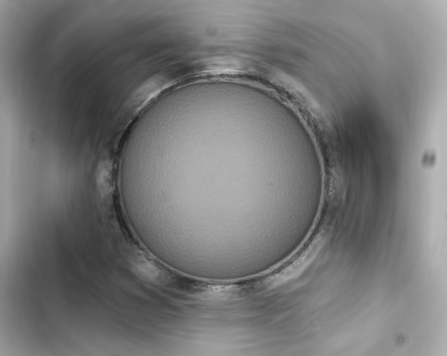 X0000103931353200809191340