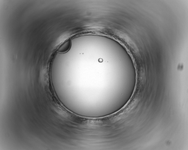 X0000103931354200809191340
