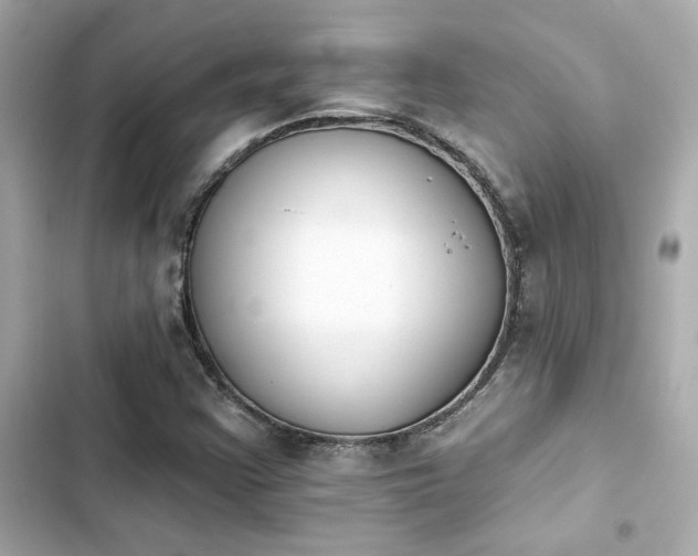 X0000103931355200809191340