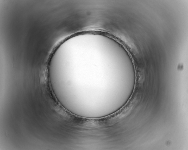 X0000103931358200809191340