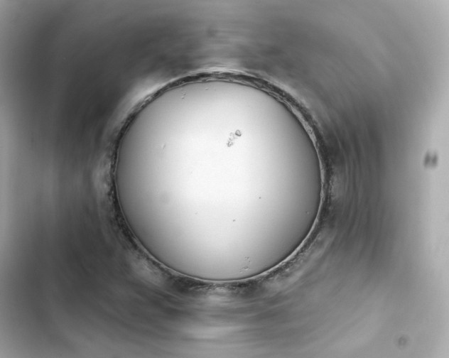 X0000103931359200809191340