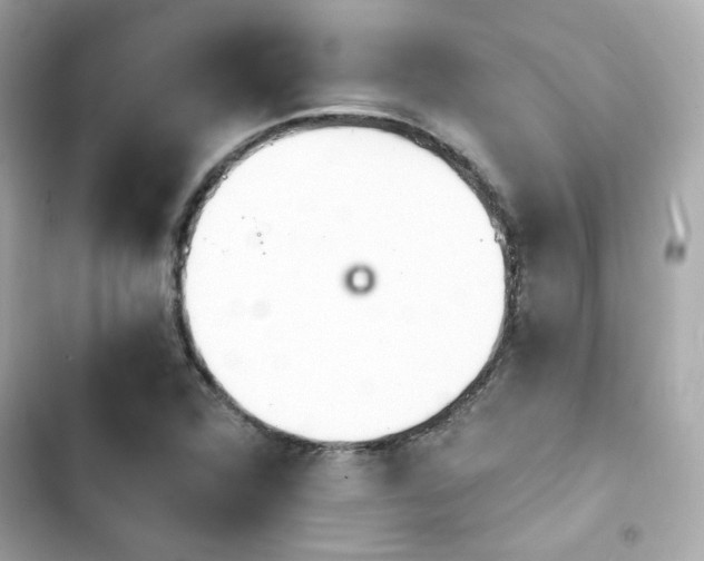 X0000103931360200809191340