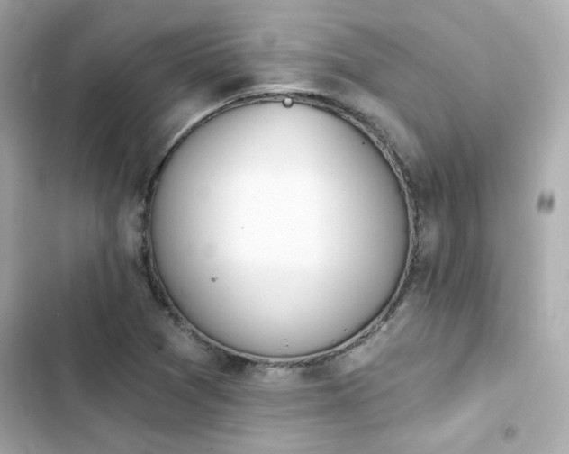 X0000103931361200809191340
