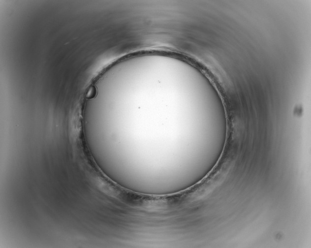 X0000103931363200809191340