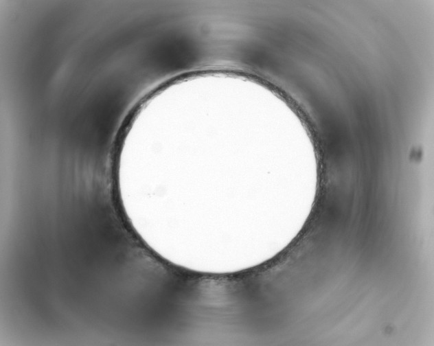X0000103931364200809191340