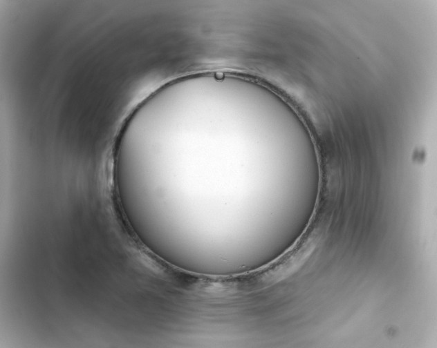 X0000103931365200809191340
