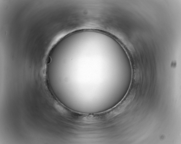 X0000103931366200809191340