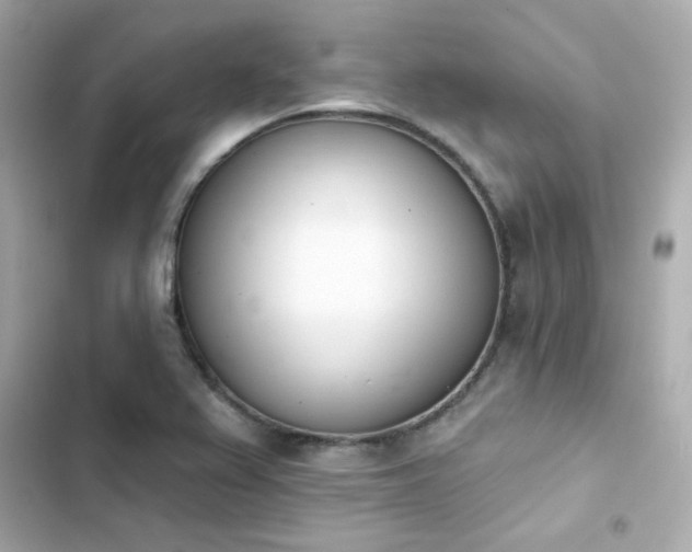 X0000103931367200809191340