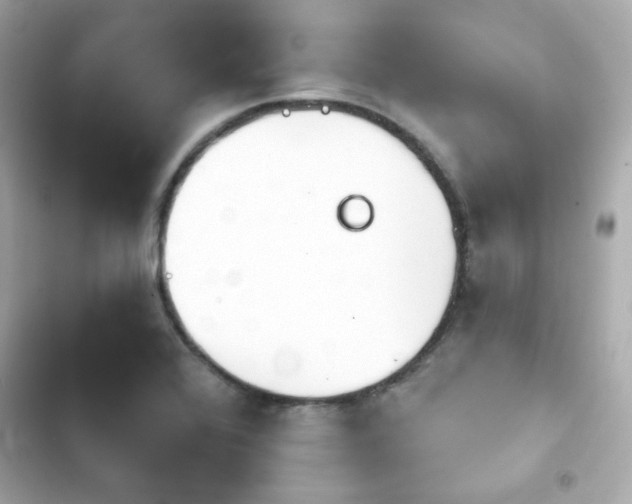 X0000103931368200809191340