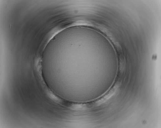 X0000103931369200809191340