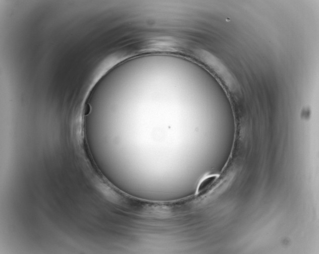 X0000103931370200809191340