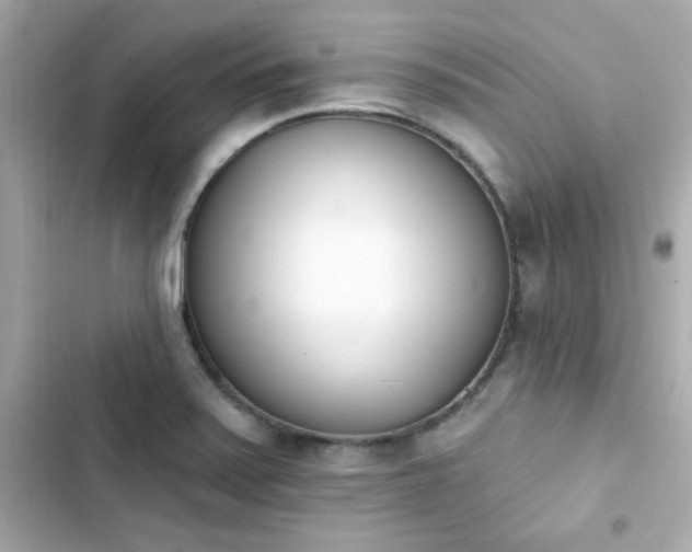 X0000103931371200809191340