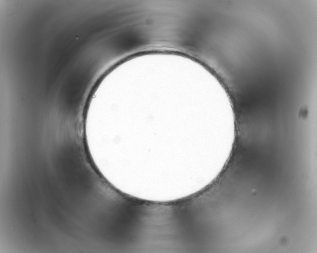 X0000103931372200809191340