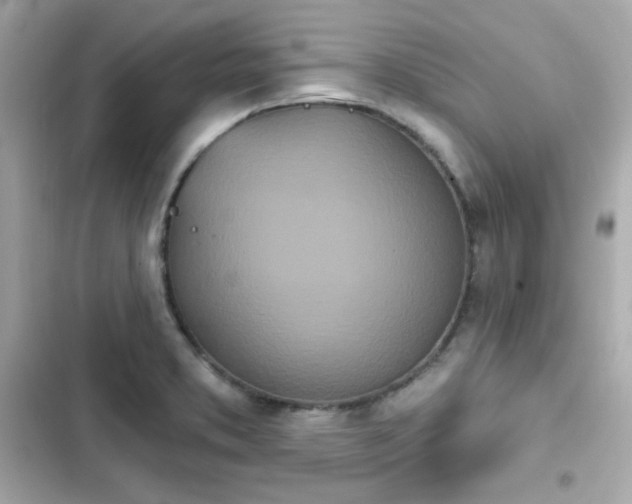 X0000103931373200809191340