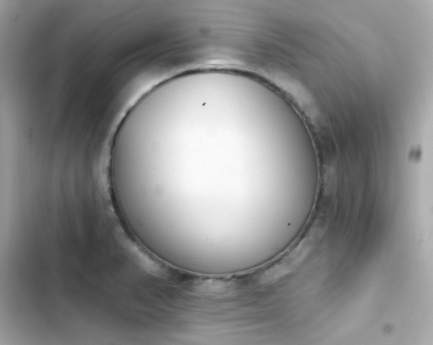 X0000103931374200809191340