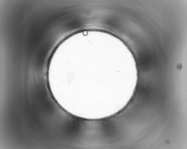X0000103931376200809191340