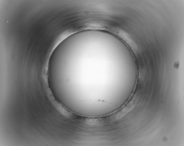 X0000103931378200809191340