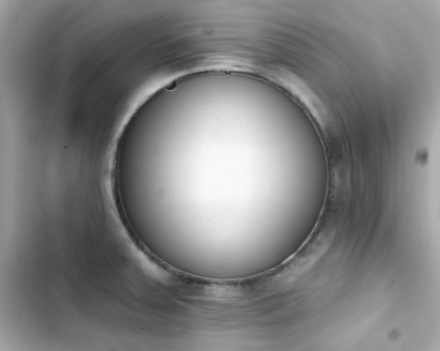 X0000103931379200809191340