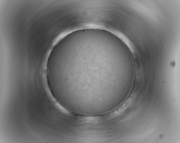 X0000103931381200809191339