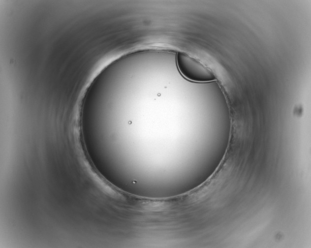 X0000103931382200809191339