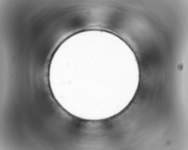 X0000103931384200809191339