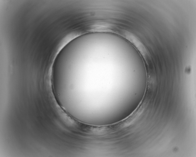 X0000103931386200809191339