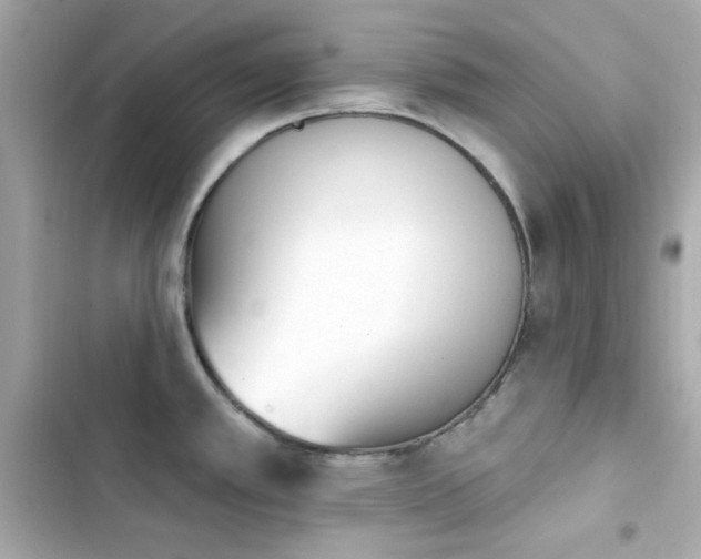 X0000103931389200809191339