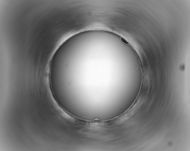 X0000103931390200809191339