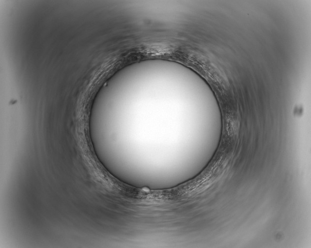X0000103931393200809191339