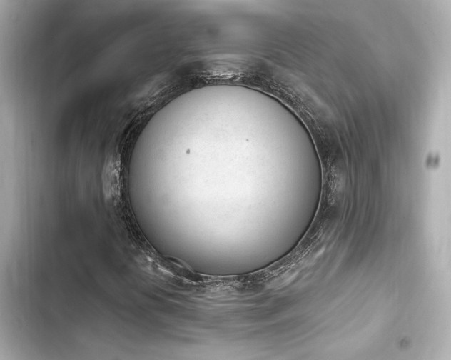 X0000103931394200809191339