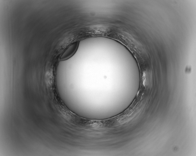 X0000103931395200809191339