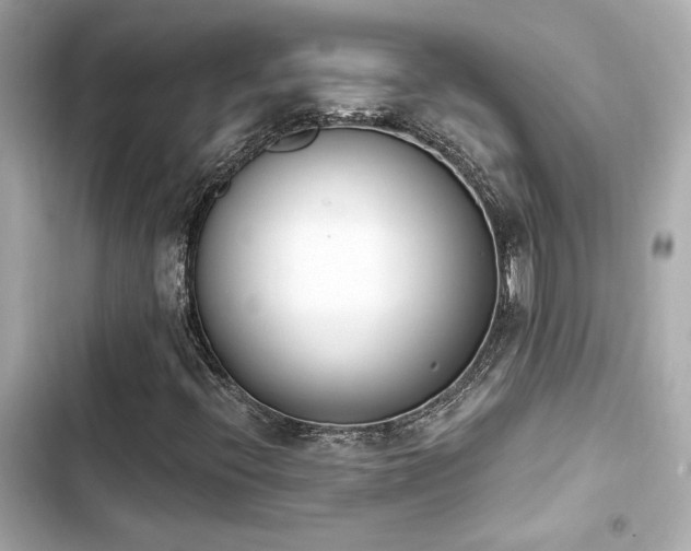 X0000103931396200809191339