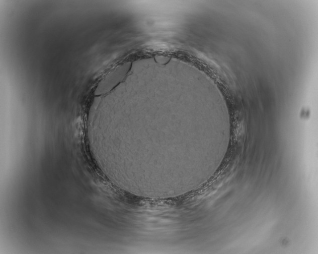 X0000103931397200809191339