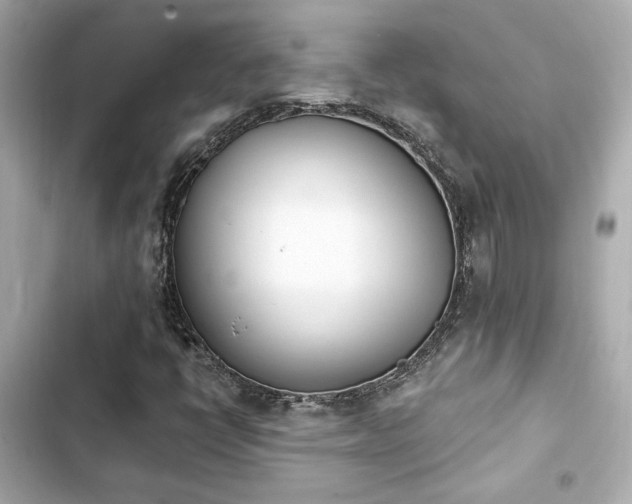 X0000103931398200809191339