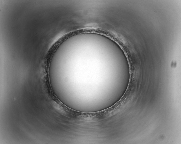 X0000103931400200809191339