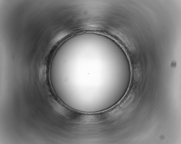 X0000103931402200809191339