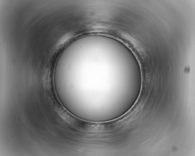X0000103931403200809191339