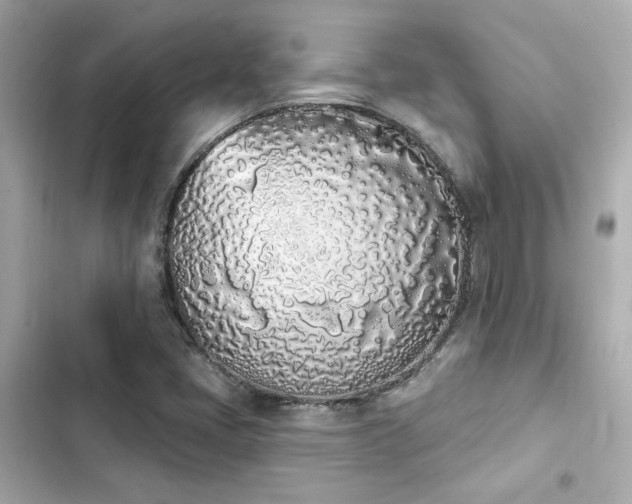 X0000103931405200809191339