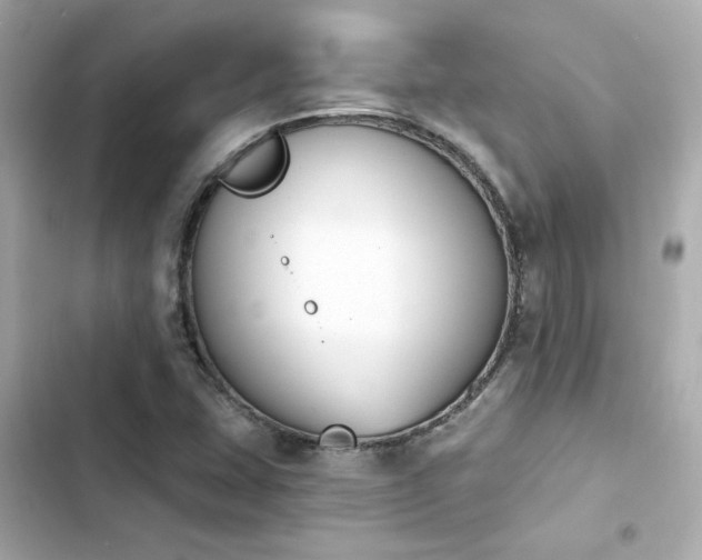 X0000103931407200809191339