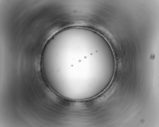 X0000103931409200809191339