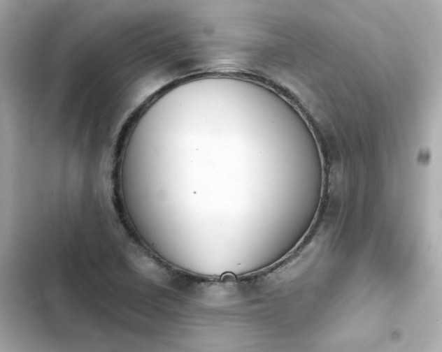 X0000103931410200809191339