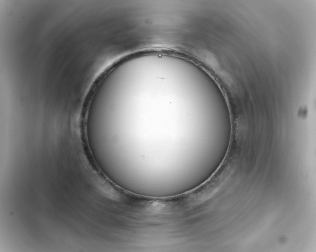 X0000103931412200809191339
