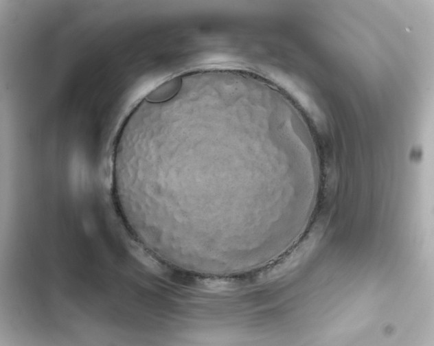 X0000103931413200809191339