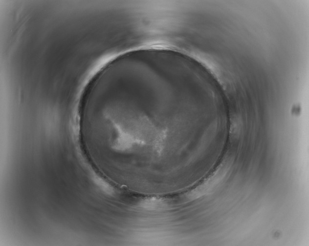 X0000103931414200809191339
