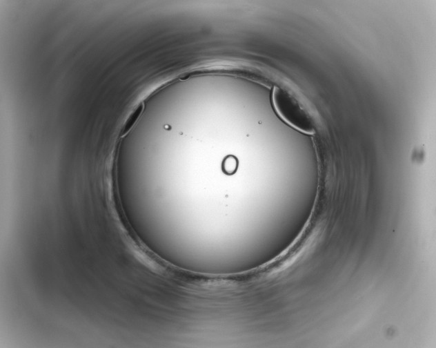 X0000103931417200809191339