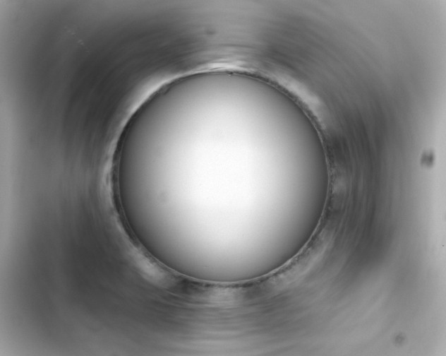 X0000103931423200809191339