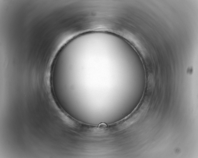 X0000103931424200809191339