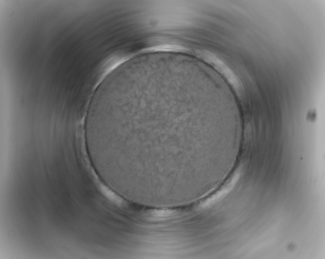 X0000103931425200809191339